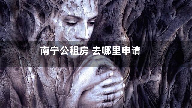 南宁公租房 去哪里申请