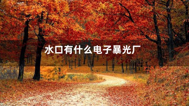 水口有什么电子暴光厂