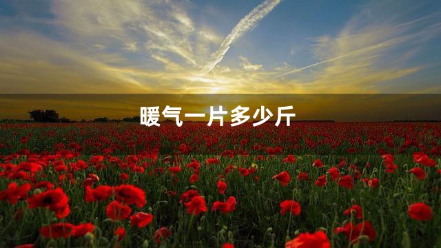 暖气一片多少斤