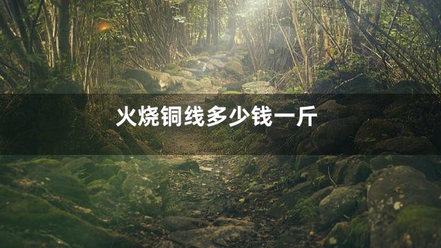 火烧铜线多少钱一斤