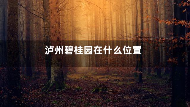 泸州碧桂园在什么位置