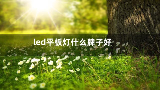 led平板灯什么牌子好