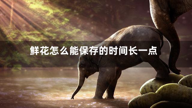 鲜花怎么能保存的时间长一点