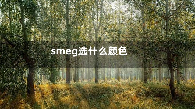 smeg选什么颜色