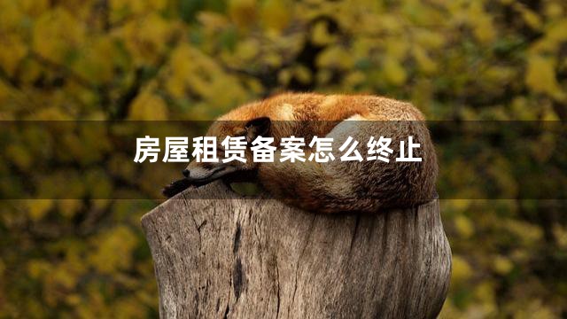 房屋租赁备案怎么终止
