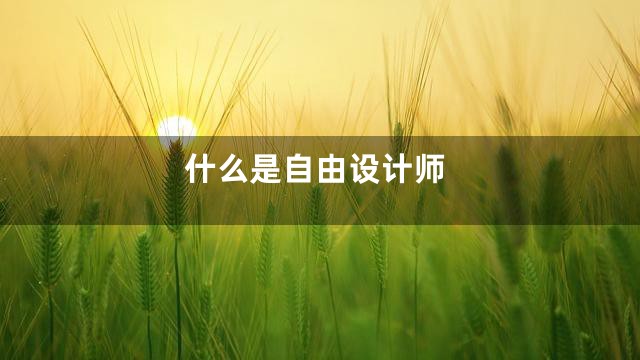 什么是自由设计师