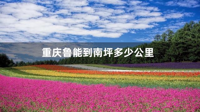 重庆鲁能到南坪多少公里