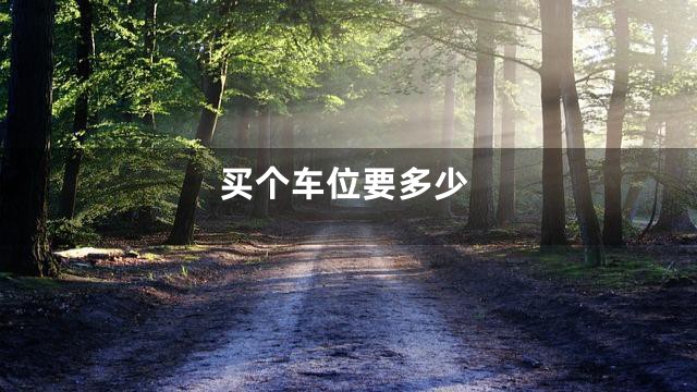 买个车位要多少