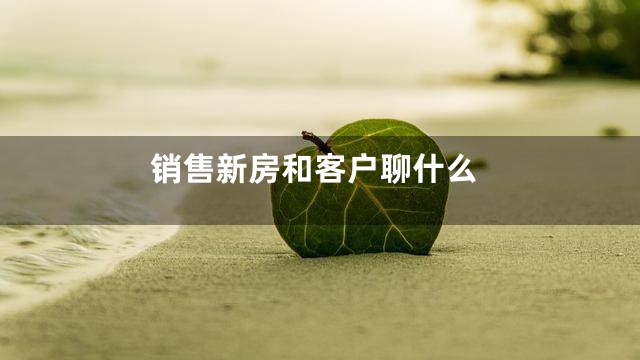销售新房和客户聊什么