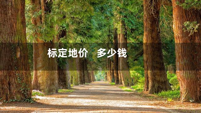 标定地价   多少钱