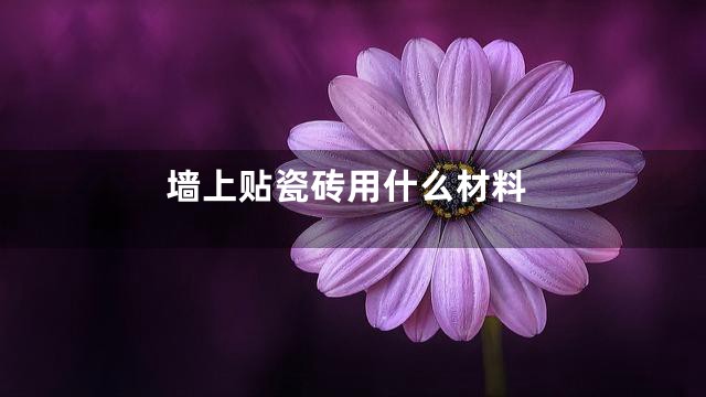 墙上贴瓷砖用什么材料