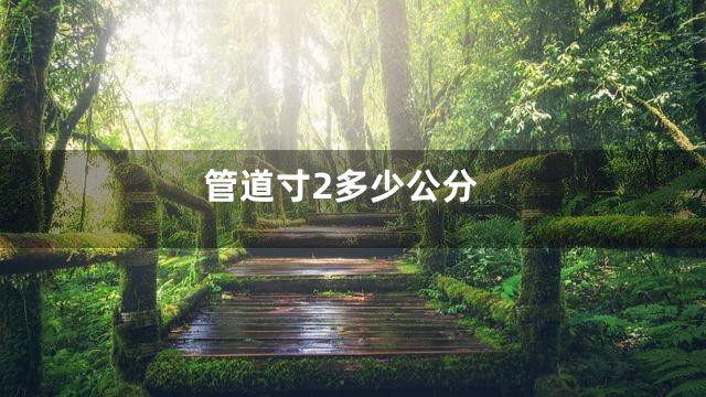 管道寸2多少公分