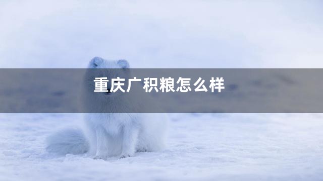 重庆广积粮怎么样
