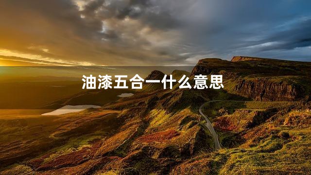 油漆五合一什么意思