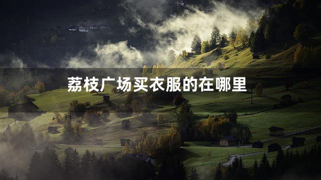 荔枝广场买衣服的在哪里