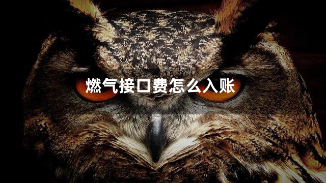 燃气接口费怎么入账