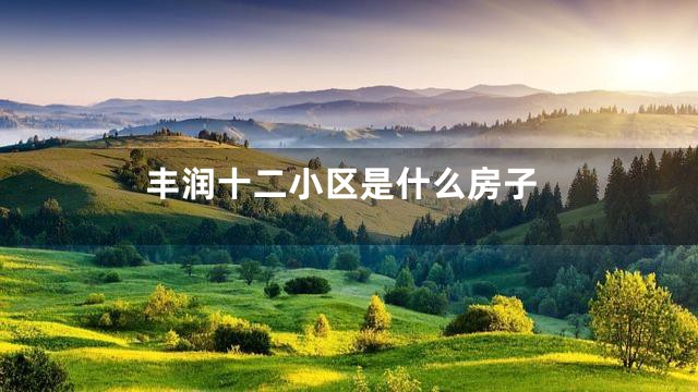 丰润十二小区是什么房子