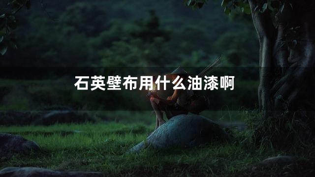石英壁布用什么油漆啊