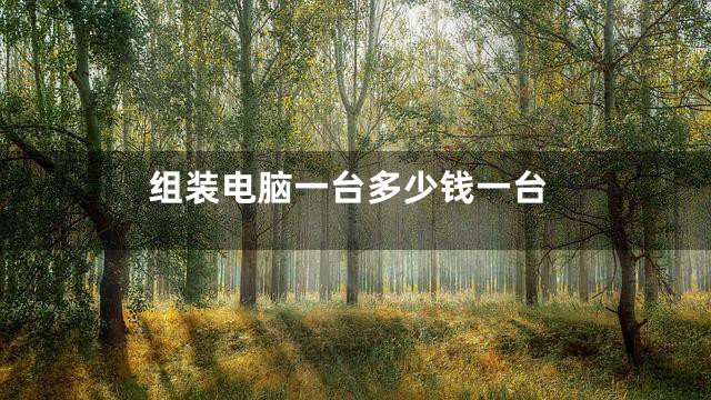 组装电脑一台多少钱一台