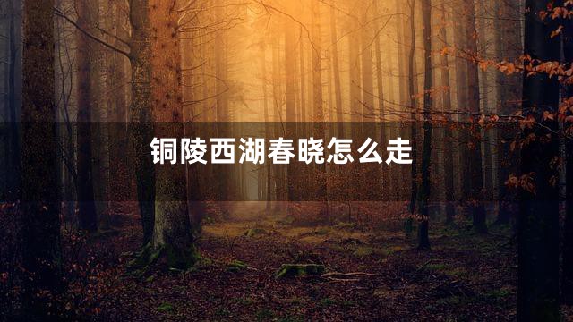 铜陵西湖春晓怎么走