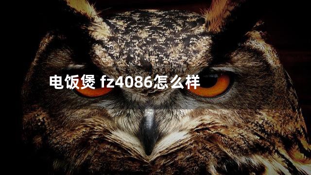 电饭煲 fz4086怎么样