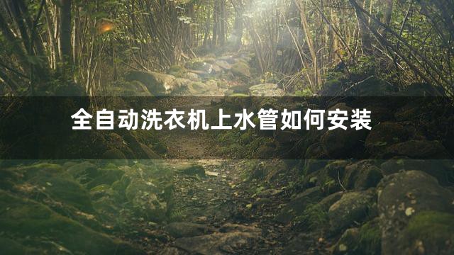 全自动洗衣机上水管如何安装