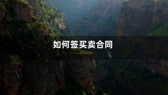 如何签买卖合同
