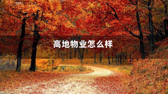 高地物业怎么样