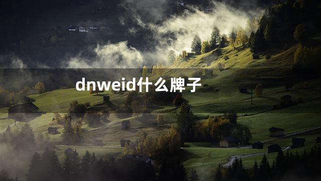 dnweid什么牌子