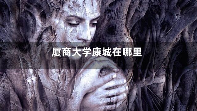 厦商大学康城在哪里