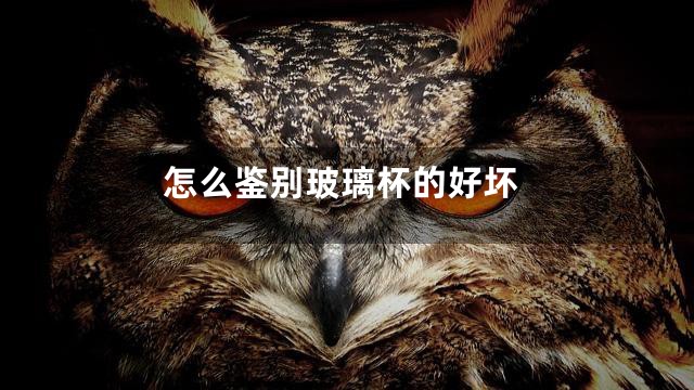 怎么鉴别玻璃杯的好坏