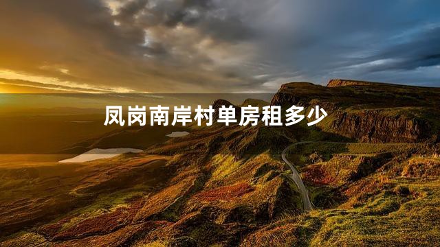 凤岗南岸村单房租多少