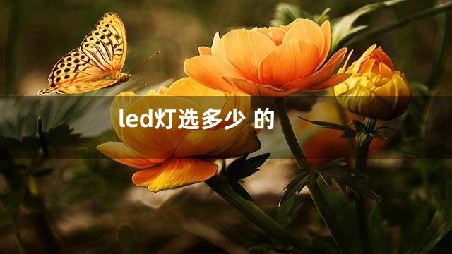 led灯选多少 的
