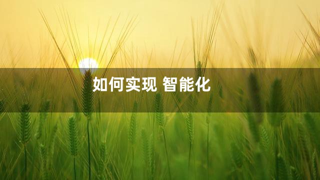 如何实现 智能化