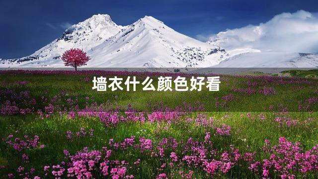 墙衣什么颜色好看
