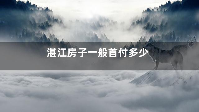 湛江房子一般首付多少