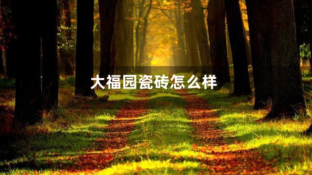 大福园瓷砖怎么样