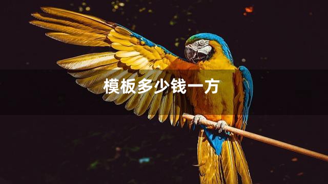 模板多少钱一方