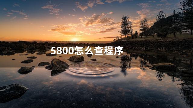 5800怎么查程序