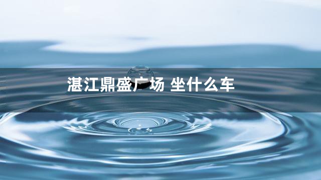 湛江鼎盛广场 坐什么车