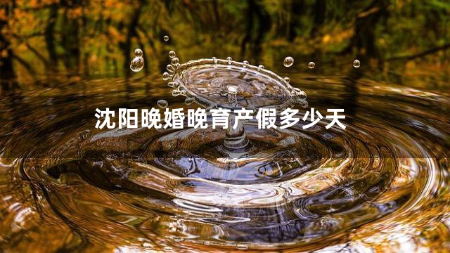 沈阳晚婚晚育产假多少天