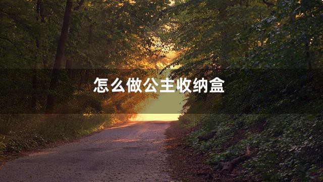 怎么做公主收纳盒