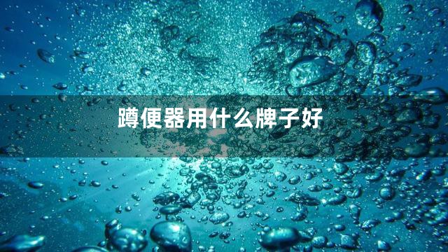 蹲便器用什么牌子好