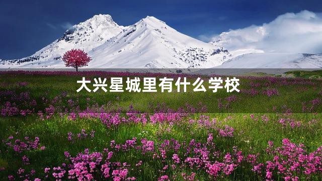 大兴星城里有什么学校