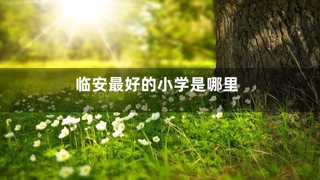 临安最好的小学是哪里