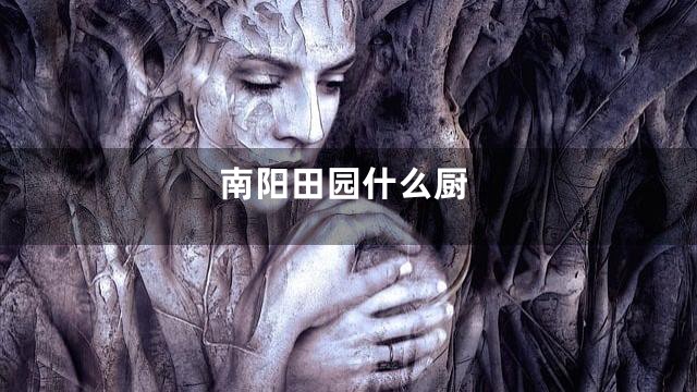 南阳田园什么厨