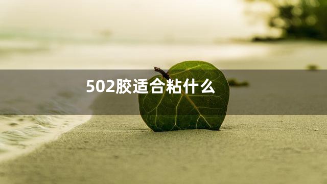 502胶适合粘什么