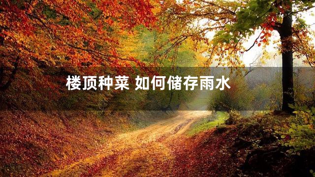 楼顶种菜 如何储存雨水