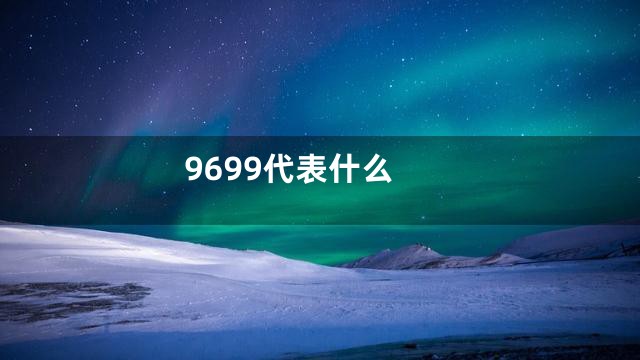 9699代表什么
