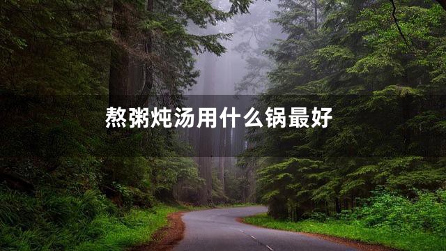 熬粥炖汤用什么锅最好